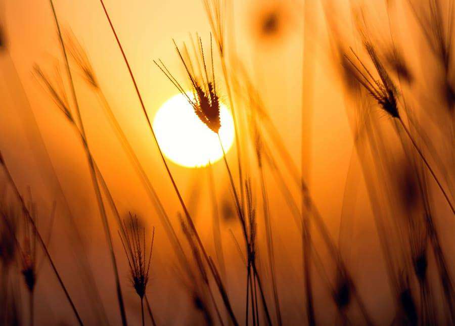 Gamme performance panneaux solaires O2 TOIT