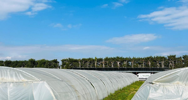 panneaux solaires agriculture